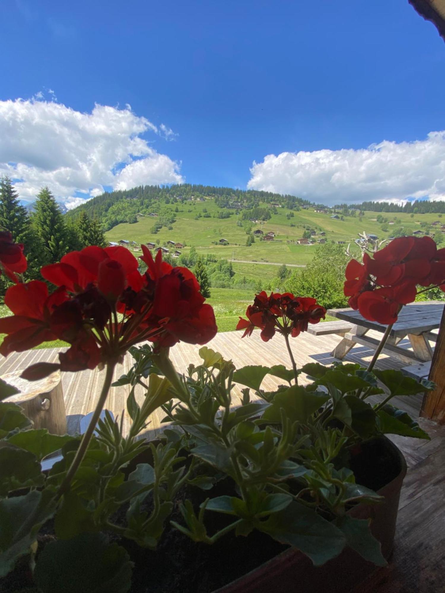 La Ferme Des Georgieres "Sejour En Tout Compris" นอเทรอ-ดาม-เด-เบลล์คอมบ์ ภายนอก รูปภาพ